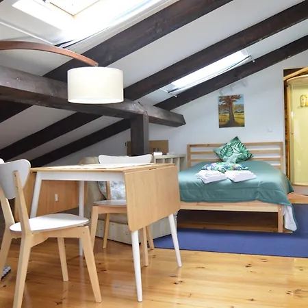 Exclusive Rustic Loft With Terrace 3*